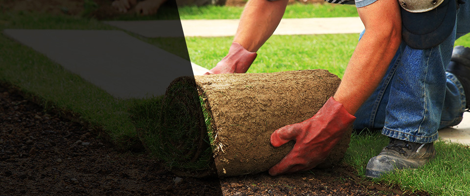 Paulding Landscapers
